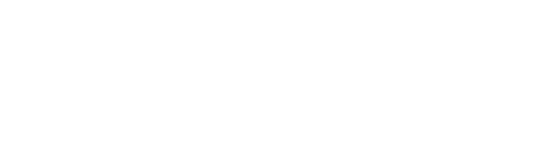 LMXvision